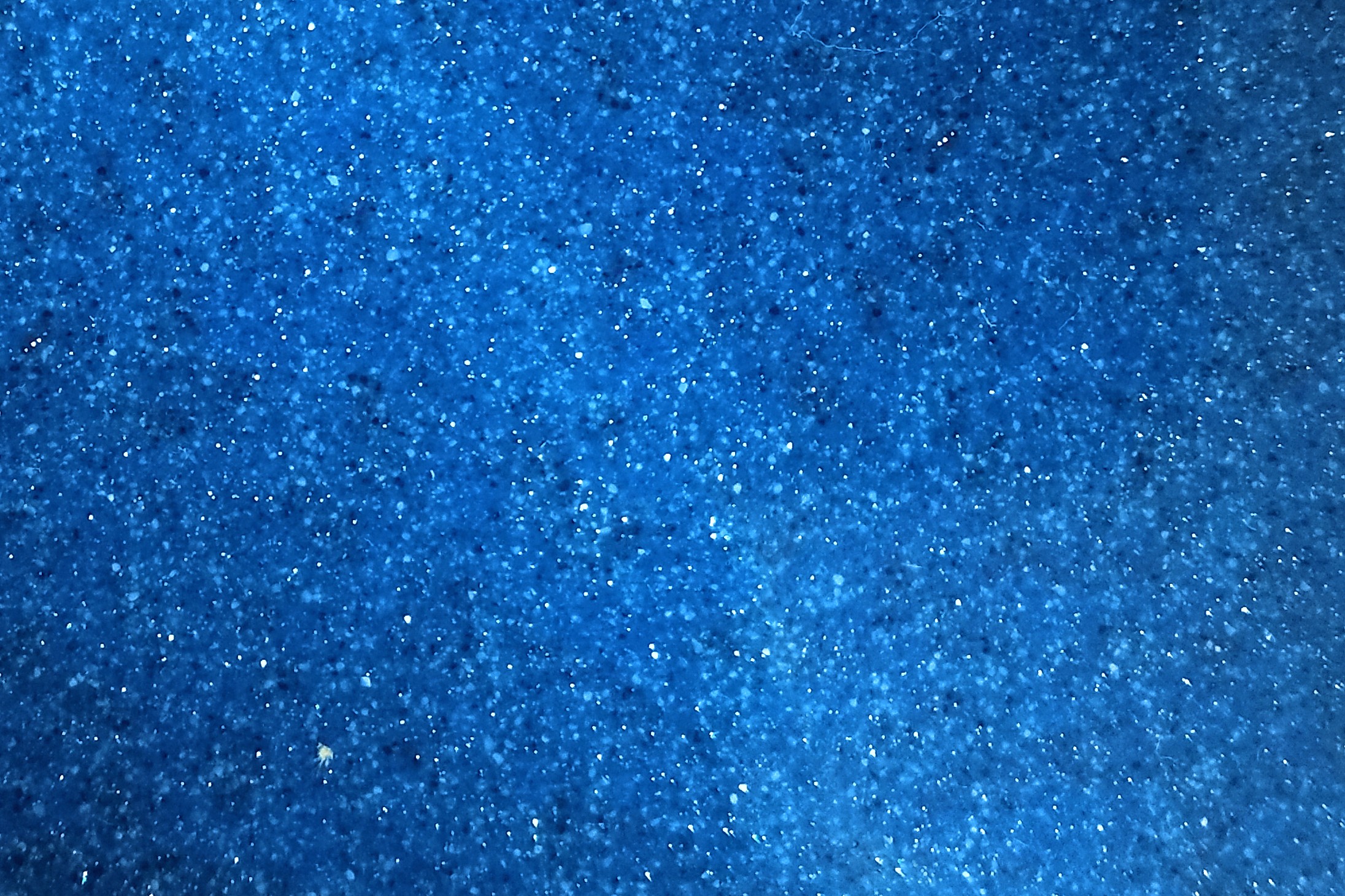 Sapphire Blue Gelcoat